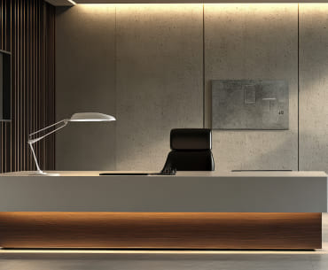 Office Furniture view 3